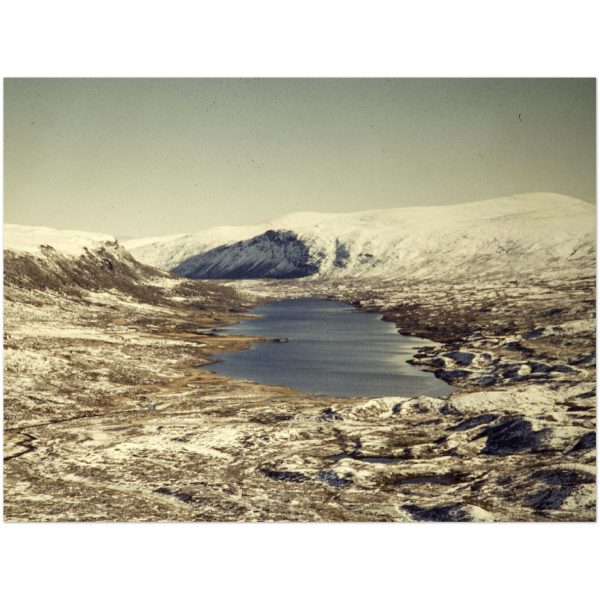 10f10784-8695-405a-a7e3-61c7a99be4d9