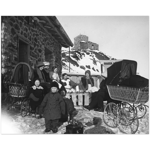 3afae33d-2726-44ca-8533-0a01f9c881ab