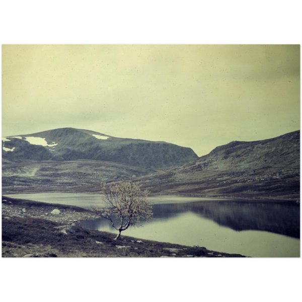 46fdb791-3967-4a64-a702-f74280ec559c