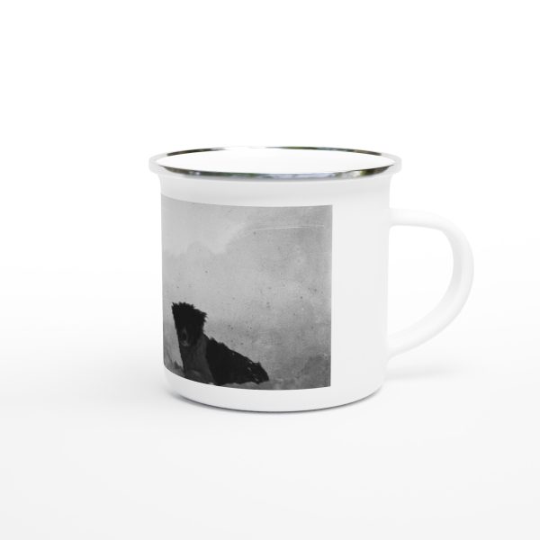 4769d8b6-7c0e-4efa-bdf7-caf897ea9309