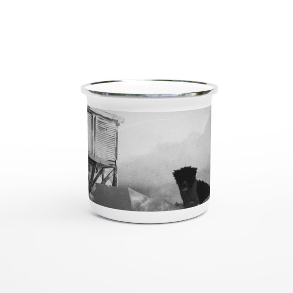 50096743-8f50-4368-9103-3984094da4db