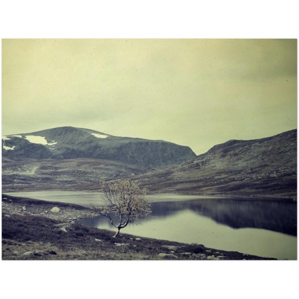 78b1b06b-614a-430e-aa64-15ffb39fd0da