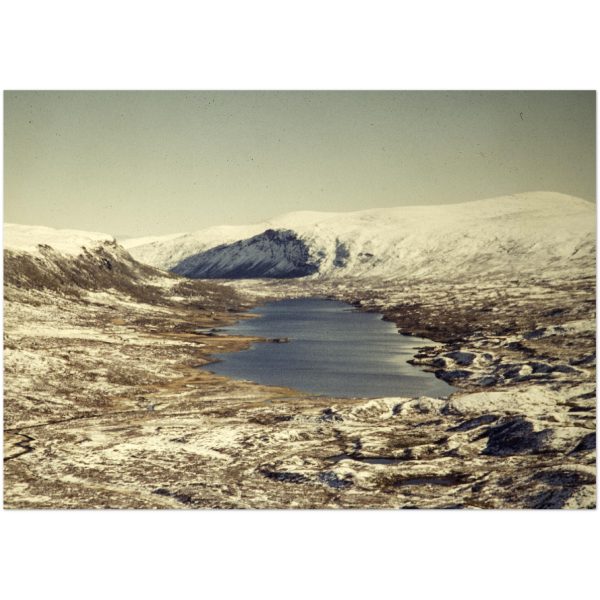 8351282c-87e4-4e6a-a60e-243047937cc9