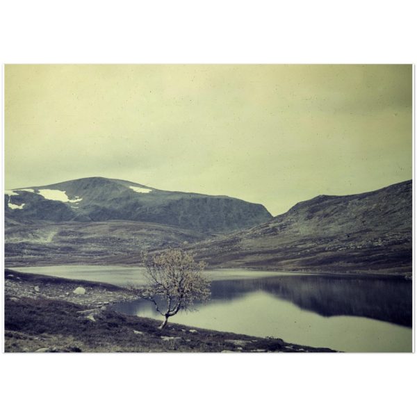 a9dabb7e-6733-4309-8087-107552a8a99b