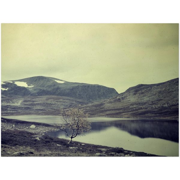 bbe34d74-2a7f-48d2-9eb8-167ae8b34f74