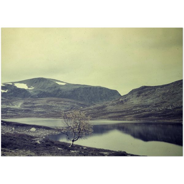 c744a580-3ed7-4ec6-aebe-b521205681ef