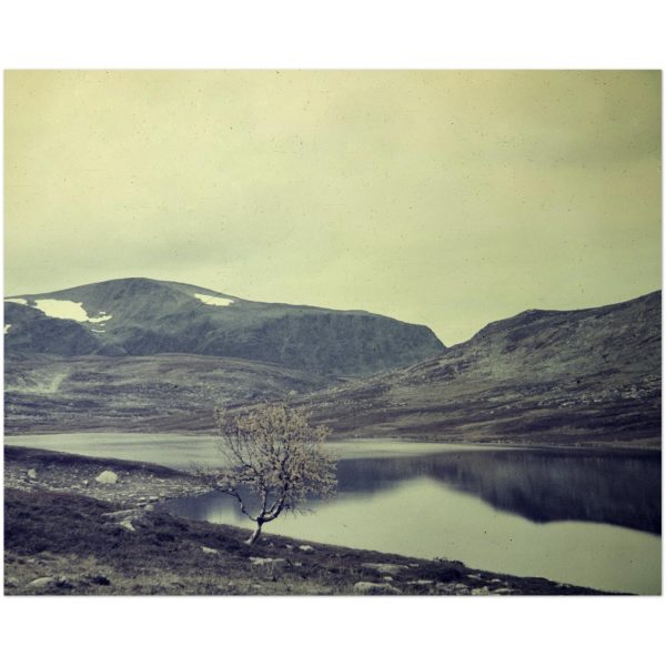 e2508924-e391-4827-9fc8-1bea9412eb6a